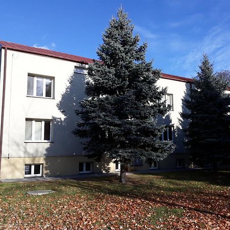 Pokoje U Ludwika Włodawa Exterior foto